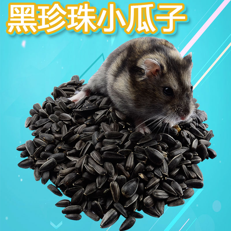 仓鼠磨牙零食仓鼠食物仓鼠用品兔子磨牙棒荷兰猪小黑黑葵瓜子100g