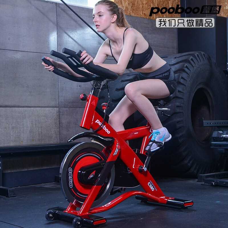 蓝堡 动感单车室内器材锻炼商务自行车静音家用健身房健身车智能