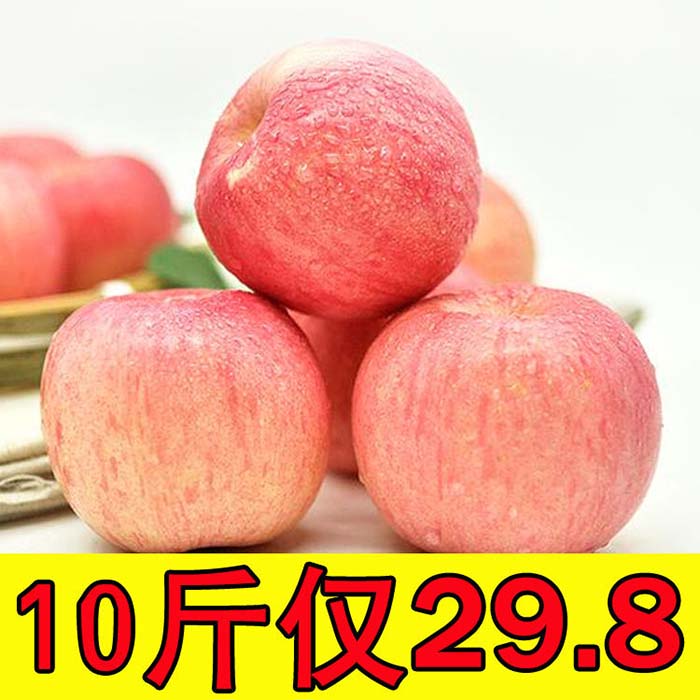 陕西白水苹果脆甜红富士小果孕妇吃新鲜水果10斤整箱团购现货