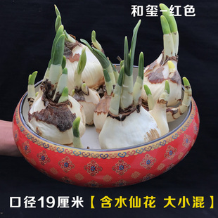 水仙花