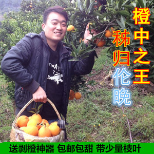 秭归伦晚脐橙 当季橙子新鲜水果包邮 皮薄多汁 9斤包邮PK赣南血橙新鲜橙子