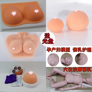 适用于催乳师培训的全硅胶乳房模型 母婴护理员/月嫂乳房护理教具催乳师