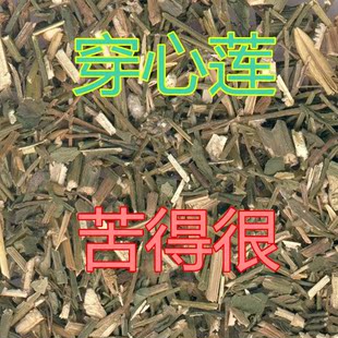 穿心莲 川心连 穿心连 四方莲 500g包邮中药材穿心莲包邮苦口良药