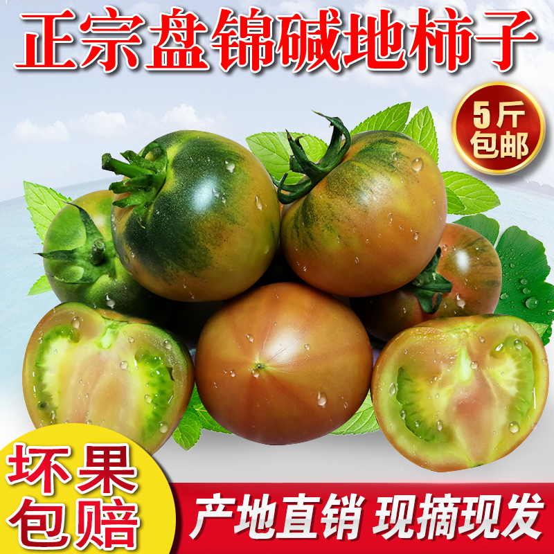 盘锦碱地柿子5斤水果番茄草莓鹰爪铁皮西红柿子市子新鲜团购包邮
