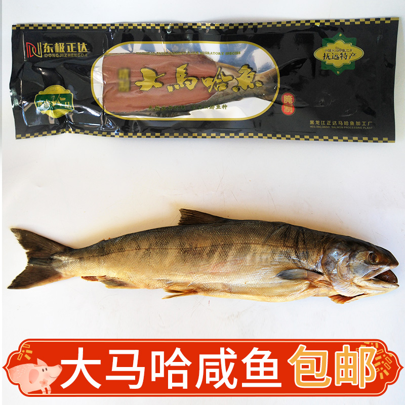 黑龙江抚远特产野生新鲜大马哈鱼 大马哈咸鱼整条包邮3.5斤