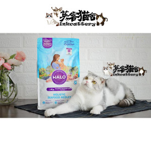 halokeiti猫图片,哈喽keiti猫图片kitty 英客猫舍|halo span class=h>自然 /span> span class=h>光环 /span>