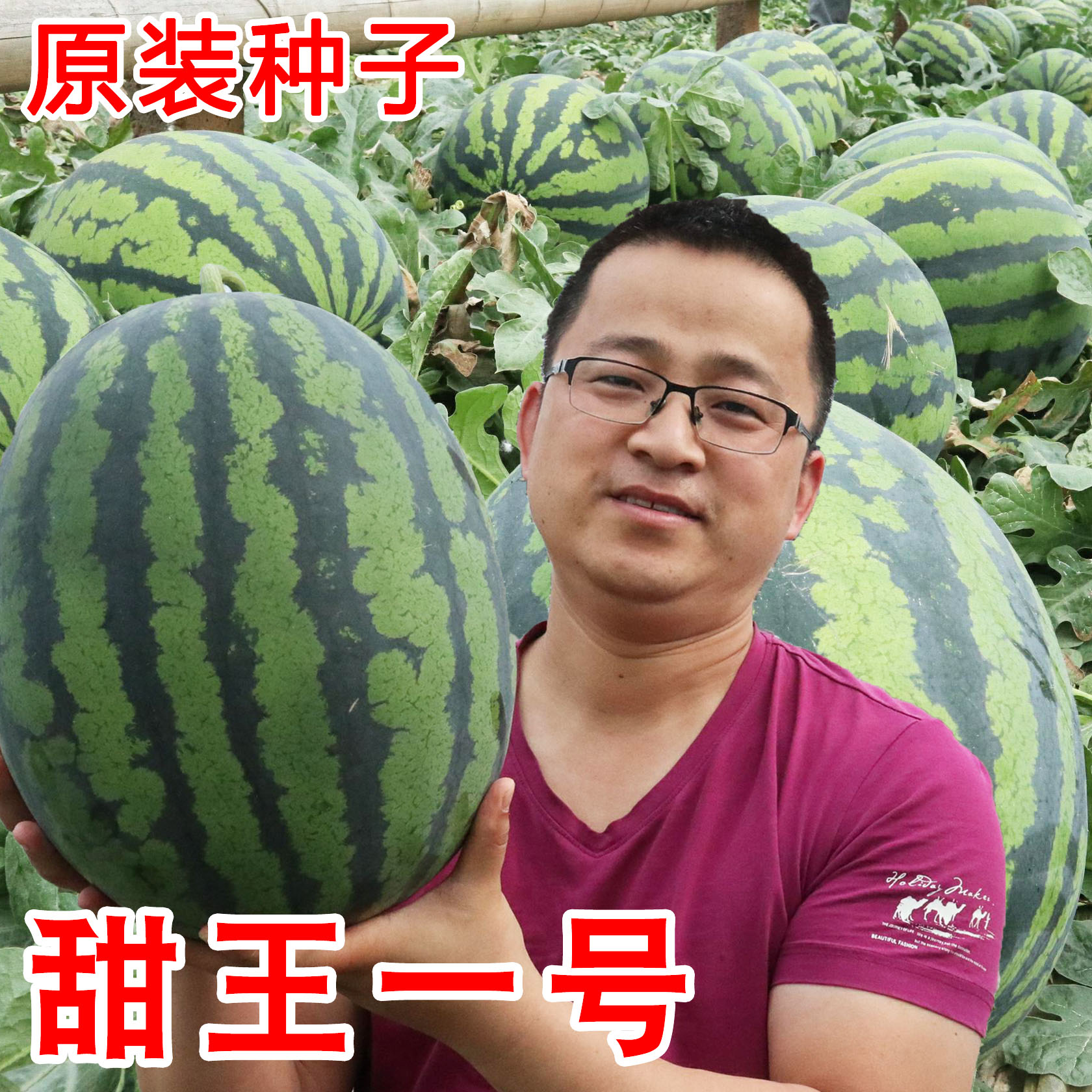 甜王西瓜种子特大春季四季高产超大懒汉巨型巨大种籽南方苗蔬菜孑