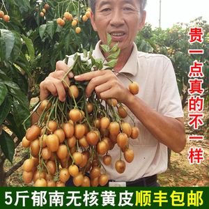 广东特产水果图片