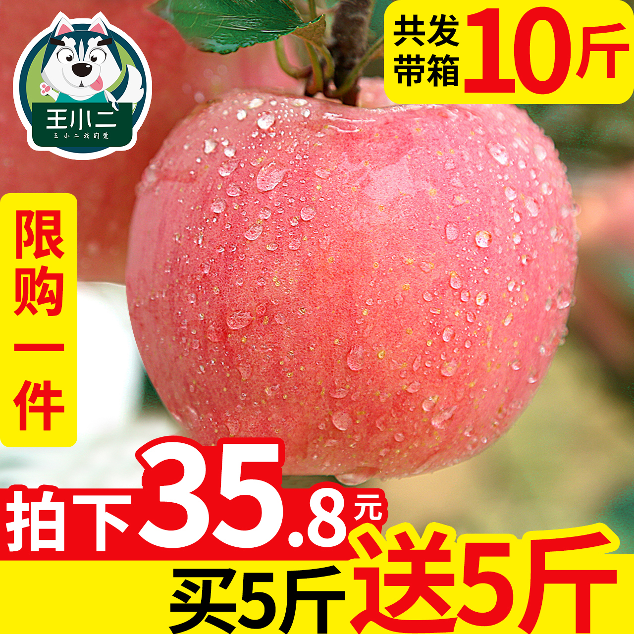 【买一送一】红富士苹果水果10斤带箱新鲜包邮当季丑苹果整箱吃的
