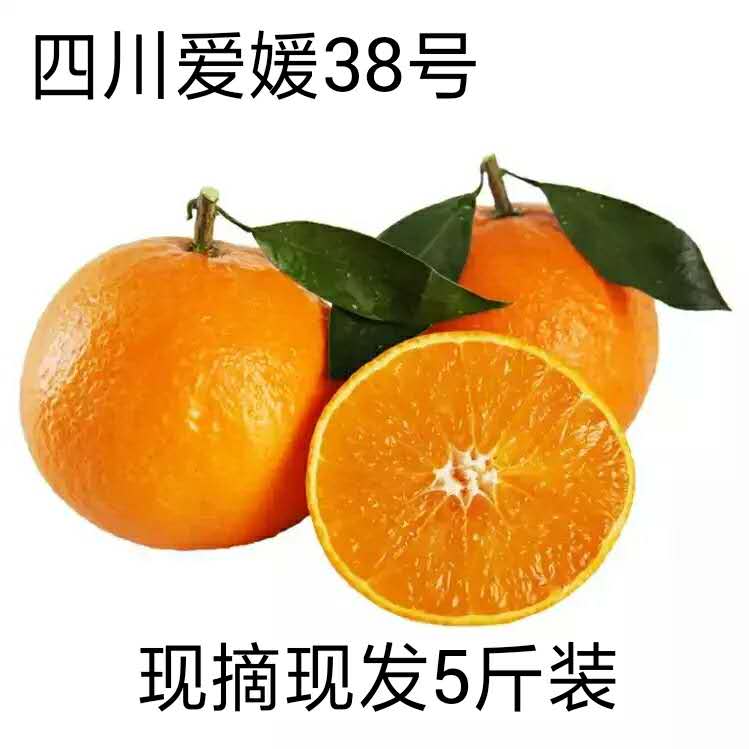 四川爱媛38号果冻橙爱媛橙子橘子冰糖橙时令新鲜水果五斤包邮