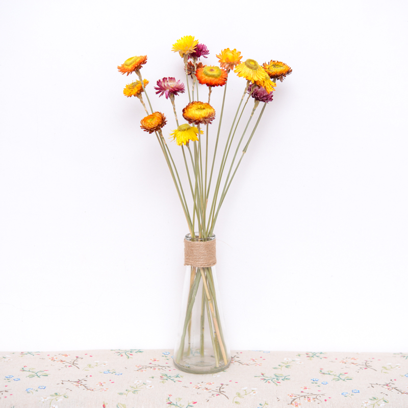 小雏菊麦秆菊蜡菊带花瓶小向日葵昆明混合式干花花束家居简约欧式
