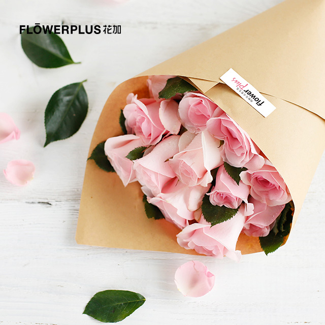 FlowerPlus花加简花单品鲜花包月一周一花全国包邮