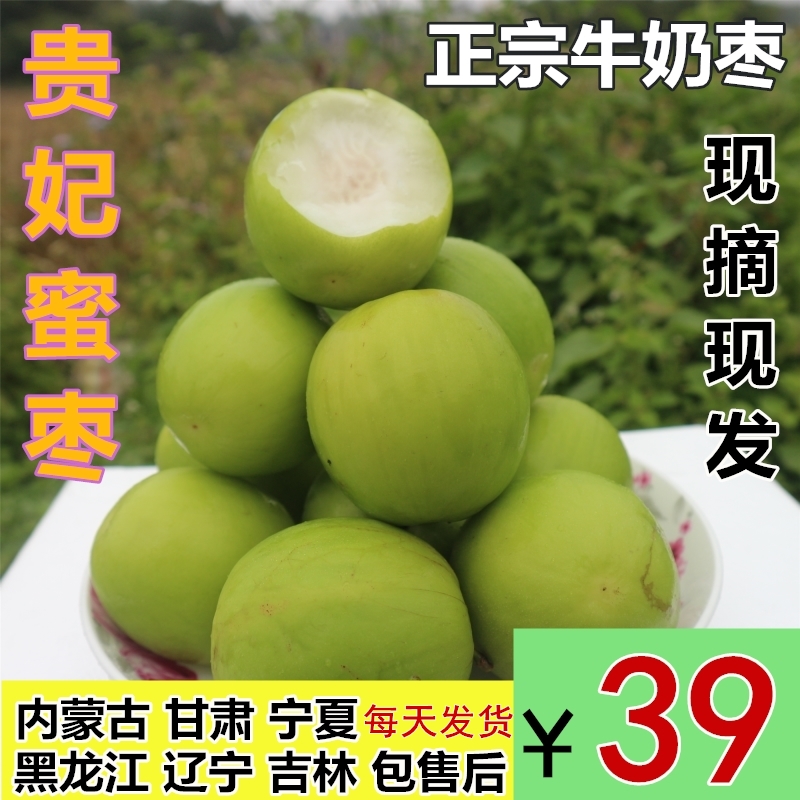 新鲜水果特级台湾牛奶枣 苹果枣 大青枣 贵妃蜜枣 非红冬枣 5斤脆
