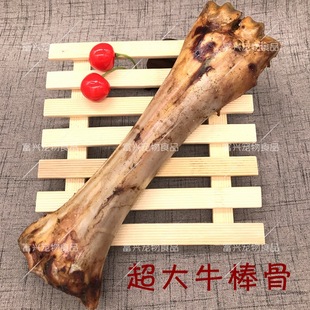 烘干牛骨头 磨牙骨头 酱香牛腿骨 狗狗磨牙棒 牛骨真骨头 磨牙棒