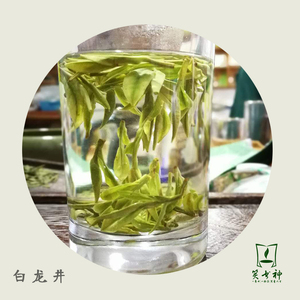 2018年新茶白茶春茶叶绿茶龙井白茶安吉白叶白龙井新昌大佛龙井茶