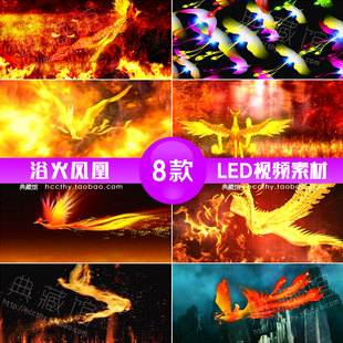 火凤凰浴火重生火焰飞舞 开场led高清背景素材大屏幕动态视频d201