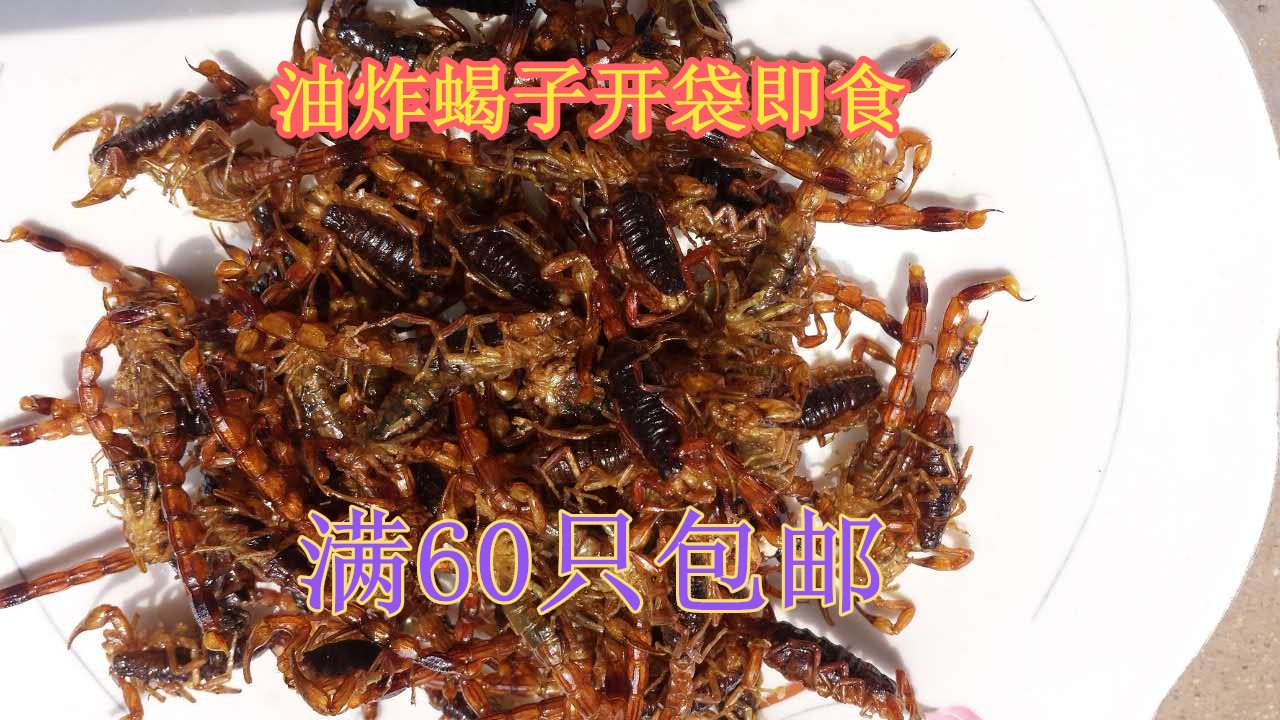 油炸蝎子蒙山野生十足全蝎即食蝎活体现炸