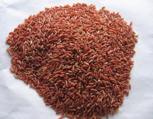 台山特产绿色自家种植营养红米赤米补气糙米 红梗米红大米 红曲米