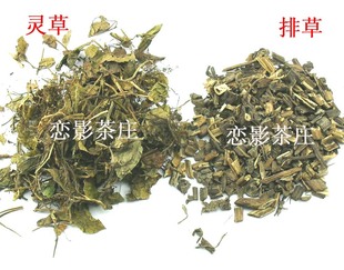 中药材 专卖 钓鱼窝料 灵草100克   排草 100克 仅售16元