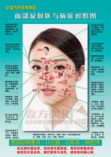 2015中医养生人体经络美容美体海报挂画订制制作 面部病症对照图