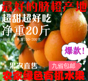正宗赣南脐橙 江西特产信丰甜橙子农家有机时令水果20斤特价包邮江西特产
