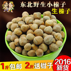 东北野生小榛子2016新货原味新鲜水漏生榛子铁岭坚果零食500g包邮榛子