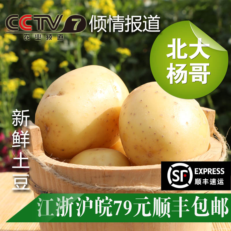 北大杨哥外交官新鲜采摘绿色生态无公害蔬菜土豆洋芋头500克