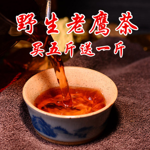 野生老鹰茶图片