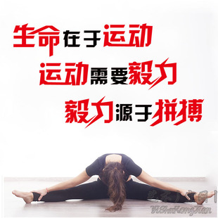 生命在于运动 健身房武术跆拳道武馆墙贴纸 公