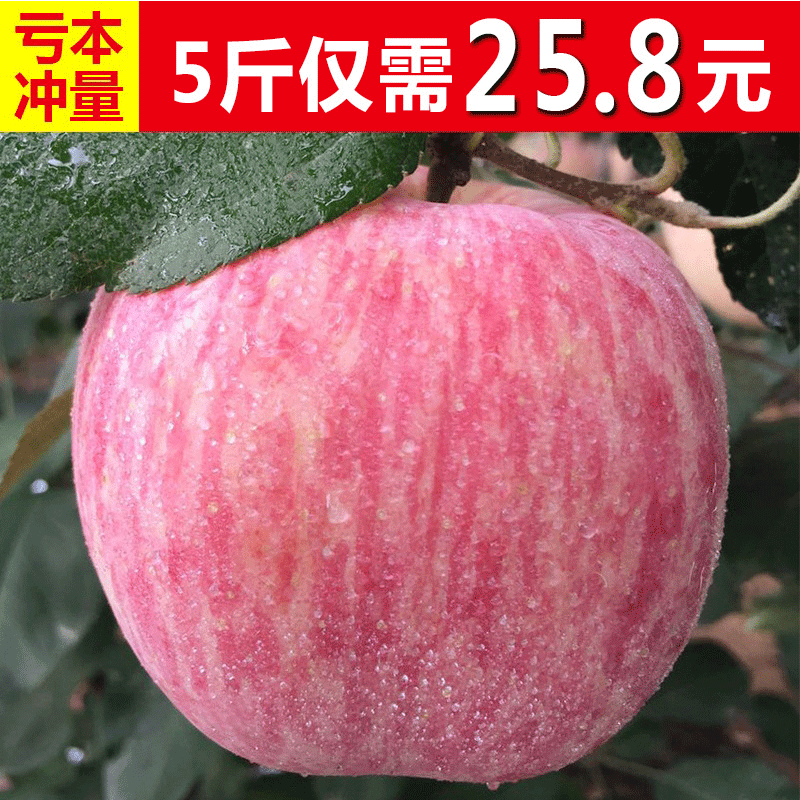新鲜苹果水果山东烟台红富士苹果批发一整箱平果5斤包邮吃的萍果红富士新鲜水果