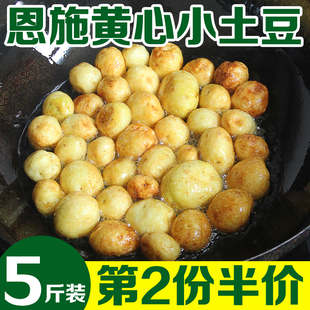 新鲜土豆包邮5斤装 恩施黄心小土豆 农家自种新鲜蔬菜洋芋马铃薯