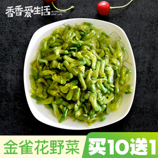 云南金雀花野菜食用新鲜花酒店半成品特色食材野生蔬菜1000g包邮