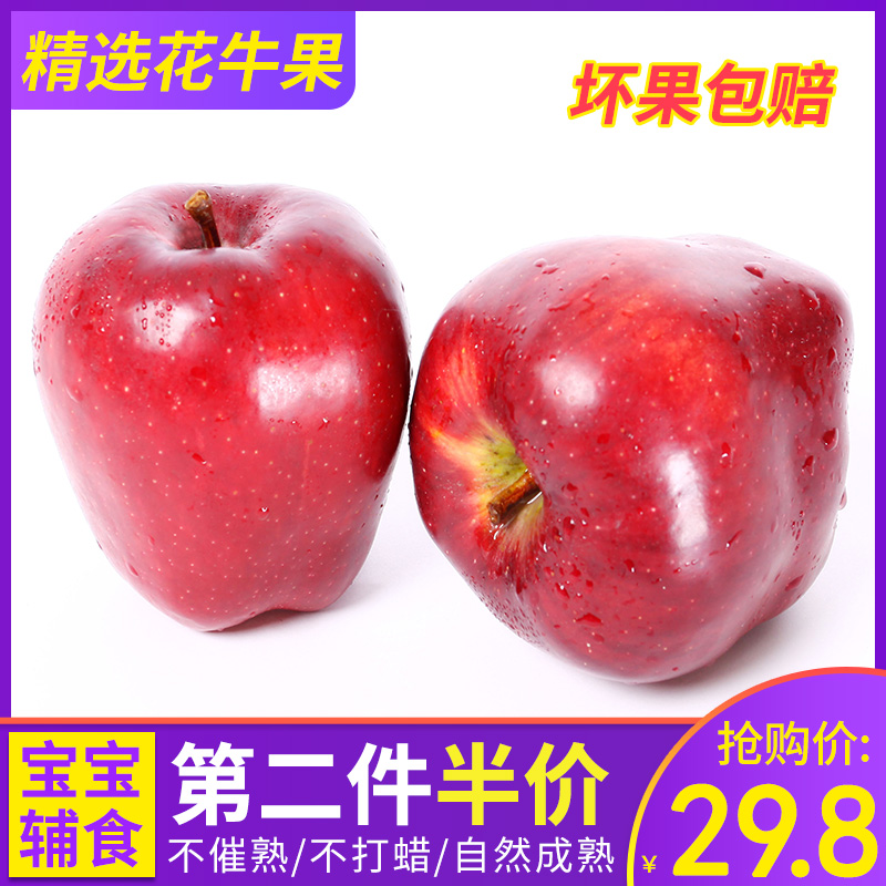 甘肃天水花牛苹果应季新鲜孕妇水果5斤胜红富士粉面苹果蛇果包邮