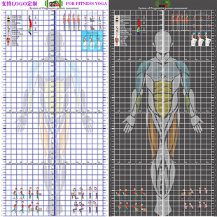 健身渐进式训练系统图体姿测试表体姿评估图体姿图体态图墙纸壁纸
