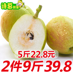 新疆库尔勒香梨 特产梨子新鲜水果整箱当季批发5斤拍2件毛重10斤新鲜水果