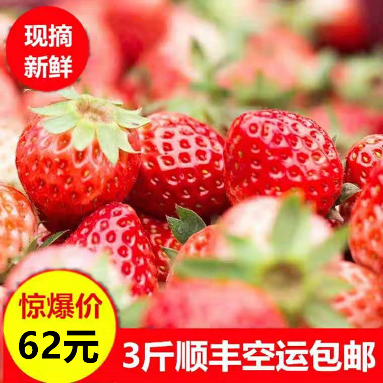 3斤草莓新鲜水果 成都巧克力奶油露天小草梅3斤顺丰包邮非丹东9九