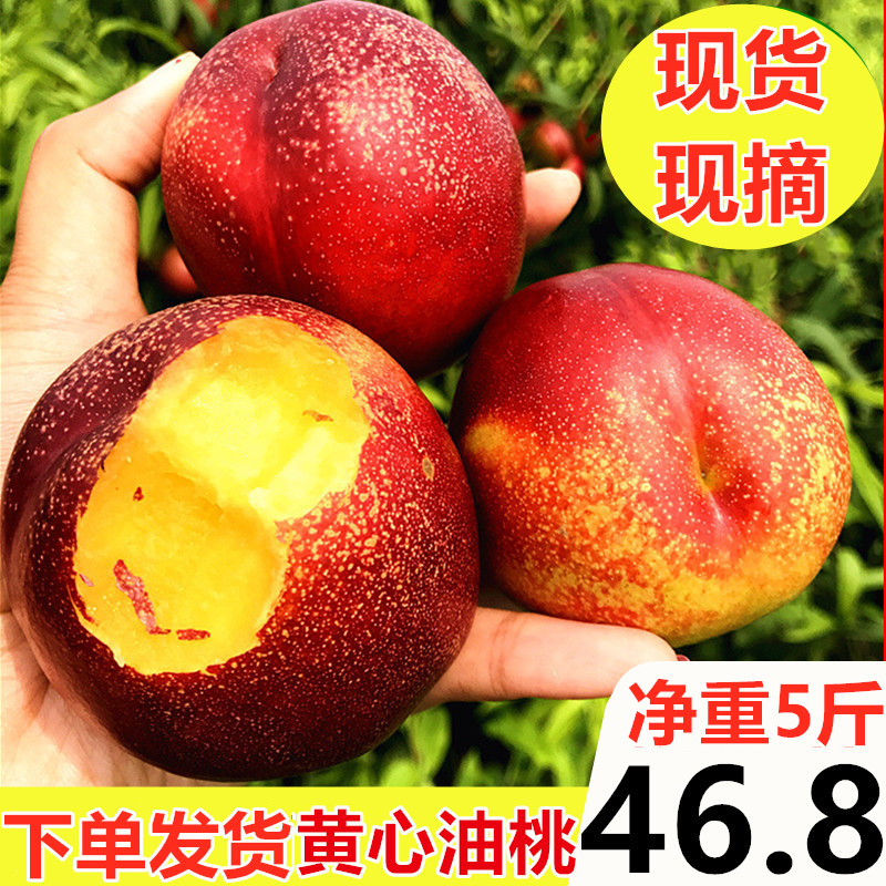 现货油桃5斤黄油桃新鲜孕妇水果大连特产桃子非水蜜桃黄桃蟠桃