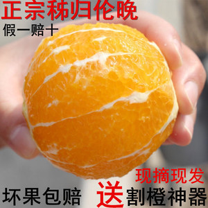 湖北宜昌秭归橙子正宗伦晚脐橙当季现摘新鲜孕妇水果5斤包邮春橙新鲜橙子