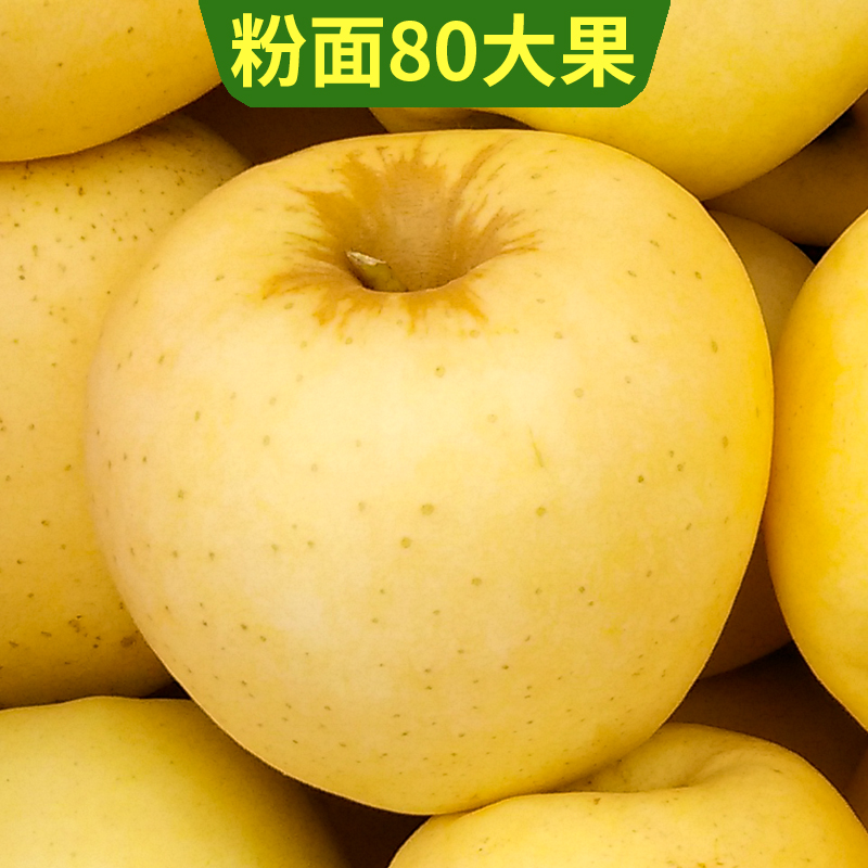 黄金帅黄元帅苹果水果黄香蕉刮泥10宝宝5斤粉面沙甜面苹果老人吃