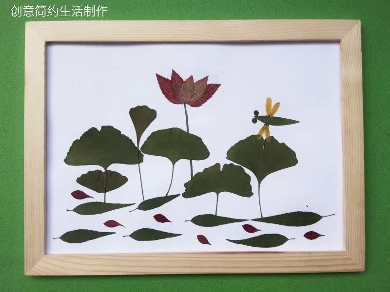 多种天然植物标本干树叶合集 diy贴画材料幼儿园手工植物书签树叶 已图片