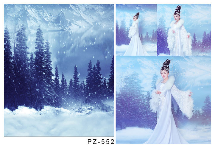 海景 雪景风景 婚纱摄影背景布 影楼数码背景纸 写真背景大图3066 已