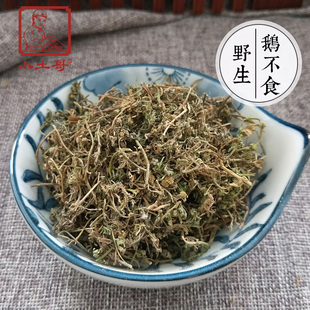 鹅不食草100克野生鹅不食草食胡荽天胡荽石胡荽地胡椒免费磨粉