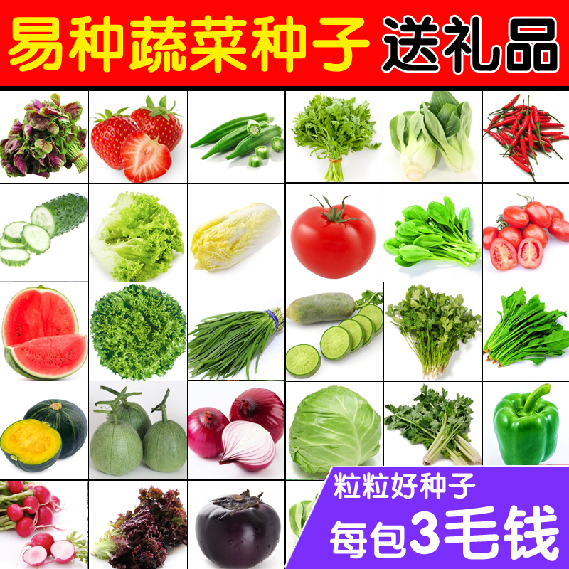 【天天特价】蔬菜种子套餐阳台种菜盆栽四季播花种子易种水果草莓