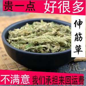 中药材野生伸筋草 筋骨草 搭配益智仁远志三宝茶 透骨草泡脚500克