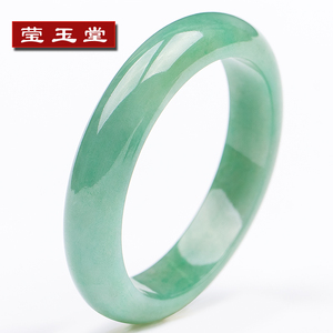 莹玉堂天然翡翠A货玉镯老坑冰种阳绿飘花玉石珠宝女款带证书手镯玉石