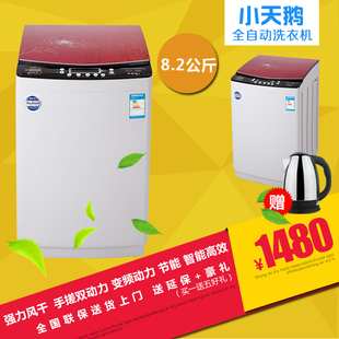 小天鹅什么牌子好,小天鹅哪里有卖?-第1页