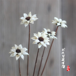 雪莲花