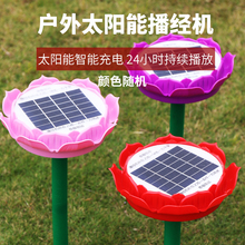 天悦名xt 太阳能佛qp器户外佛经唱佛机莲花 成本价结缘