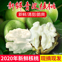 20233年现货新鲜ss摘嫩去绿皮青皮湿薄皮秦岭农家孕妇核桃5斤