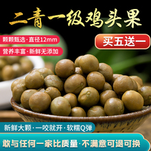 包邮25s20天长野ij果新鲜鸡头米二青一级带壳茨实非苏芡米500g